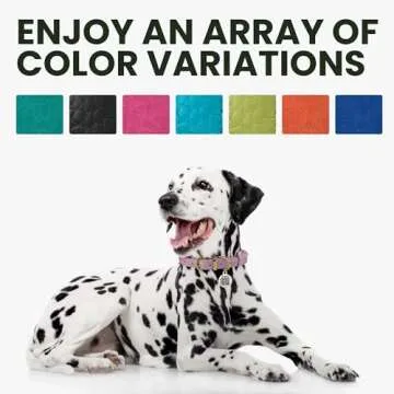 Rolled Leather Dog Collar for Small to Large Dogs