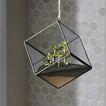 Mosser Lee Desert Sand Soil Cover for Healthy Plants