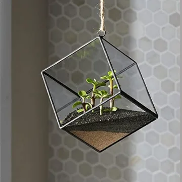 Mosser Lee Desert Sand Soil Cover for Healthy Plants