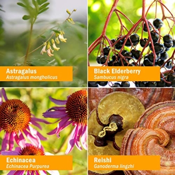 Herb Pharm Kids Organic Immune Support Liquid Formula