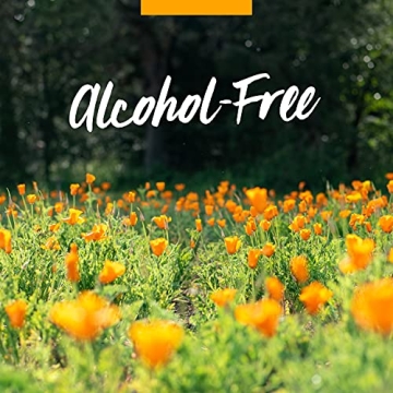 Herb Pharm Kids Organic Immune Support Liquid Formula