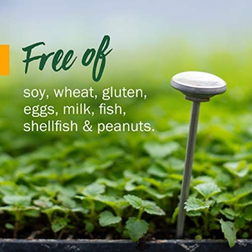 Herb Pharm Kids Organic Immune Support Liquid Formula