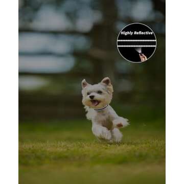 TagME Adjustable Reflective Dog Collar for Small Pets