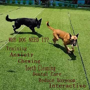 BETTEPROD Dog Chew Toys for Aggressive Chewers Large Breed, Bacon Flavor,Indestructible Dog Teething Chew Toys,Tough Bones for Large/Medium/Small Puppies,Interactive Tug-of-war Toy with Nylon