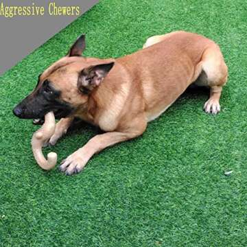 BETTEPROD Dog Chew Toys for Aggressive Chewers Large Breed, Bacon Flavor,Indestructible Dog Teething Chew Toys,Tough Bones for Large/Medium/Small Puppies,Interactive Tug-of-war Toy with Nylon