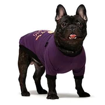 Fitwarm 2-Pack Halloween Dog Shirt for Pet Clothes 100% Cotton Puppy T-Shirts Cat Tee Breathable Stretchy Costumes XS