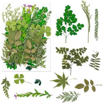 Dried Pressed Flowers, 170+ Pcs Mixed Dried Flowers for Resin, Bulk Natural Dry Floral Resin Fillers Decoration Accessories for DIY Crafts, Scrapbooking