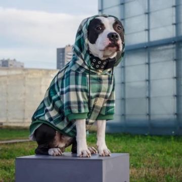 Spark Paws Dog Hoodie - Warm Stylish Outfit for Dogs