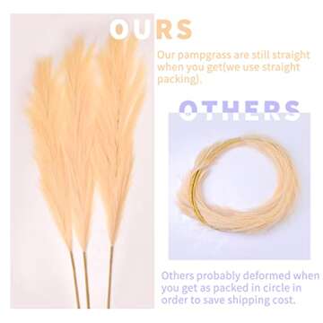 3Pcs 71" Large Pampas Grass Decor, Tall Faux Pampas Grass, Pompous Grass Large, Fluffy Artificial Pampas Grass, Fake Pampas Grass, Dried Pampas Grass Decor for Floor Vase Filer Office Boho Wedding