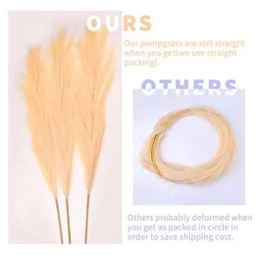 3Pcs 71" Large Pampas Grass Decor, Tall Faux Pampas Grass, Pompous Grass Large, Fluffy Artificial Pampas Grass, Fake Pampas Grass, Dried Pampas Grass Decor for Floor Vase Filer Office Boho Wedding