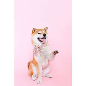 Unique style paws Silk Pink Color Dog Collar Adjustable Durable Dog Collar with Bow Wedding Bowtie Collar for Small Puppy and Cats