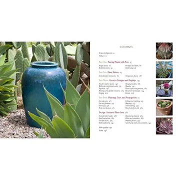 Designing with Succulents: A Guide to Beautiful Gardens and Pots