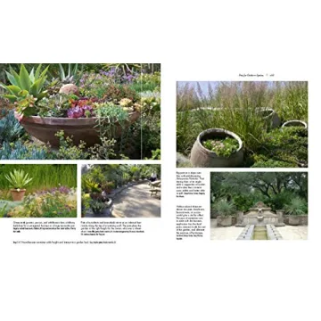 Designing with Succulents: A Guide to Beautiful Gardens and Pots