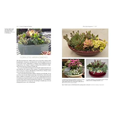 Designing with Succulents: A Guide to Beautiful Gardens and Pots
