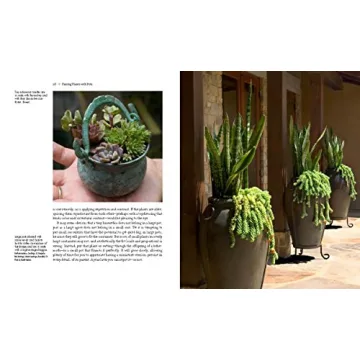 Designing with Succulents: A Guide to Beautiful Gardens and Pots