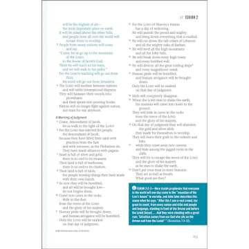 Jesus-Centered Bible NLT in Charcoal | Transform Your Faith