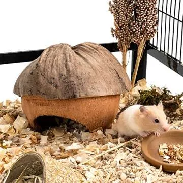andwe Coconut Hut Small Animal Cage Habitat Decor for Hamster Mice Gerbils - Pocket Pet Coco Original House