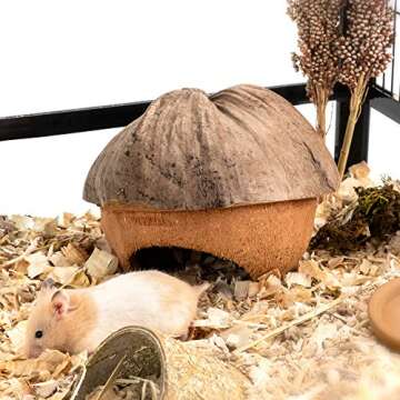 andwe Coconut Hut Small Animal Cage Habitat Decor for Hamster Mice Gerbils - Pocket Pet Coco Original House