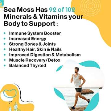 MEGAPLANTS Super Sea Moss | PRE-WASHED | 100% Crispy Sundried | Organic | Wildcrafted | Raw | Odorless | No Salt/Sand | Marine Protected Ocean | Irish Seamoss