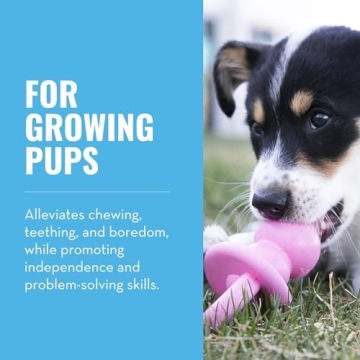 Durable KONG Puppy Binkie - Perfect for Teething Puppies