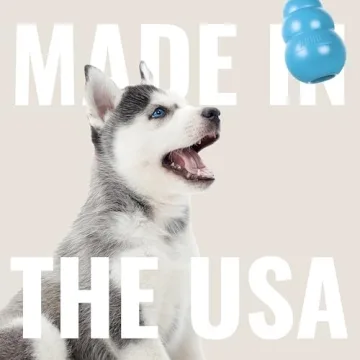 Durable KONG Puppy Binkie - Perfect for Teething Puppies