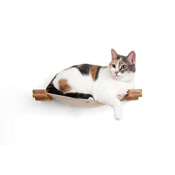 CatastrophiCreations Cat Lounge Hammock Wall Mounted Lounger for Climb and Play Furniture Cat Tree Shelves