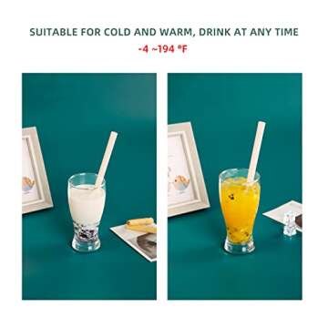 Biodegradable ECOVIBE Straws for Hot and Cold Drinks