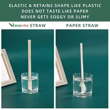 Biodegradable ECOVIBE Straws for Hot and Cold Drinks
