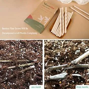 Biodegradable ECOVIBE Straws for Hot and Cold Drinks