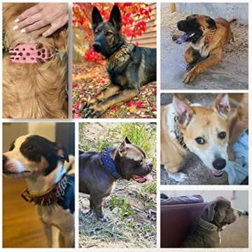 The Mighty Large Spiked Studded Dog Collar - Protect Your Dog's Neck from Bites, Durable & Stylish, ...