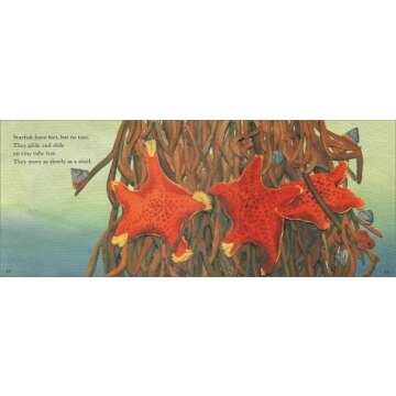Starfish (Let's-Read-and-Find-Out Science)