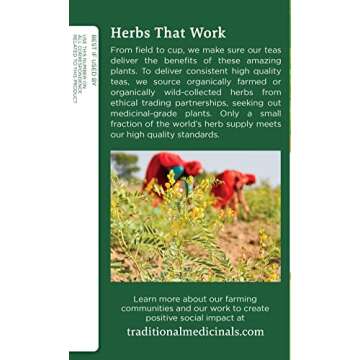 Traditional Medicinals Tea, Organic Dandelion Leaf & Root, Supports Kidney Function & Healthy Digestion, 16 Tea Bags (Pack of 2)