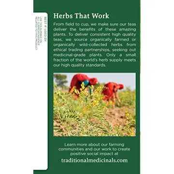 Traditional Medicinals Tea, Organic Dandelion Leaf & Root, Supports Kidney Function & Healthy Digestion, 16 Tea Bags (Pack of 2)