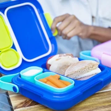 ZOKU Bento Box for Kids - Leakproof Lunch Companion
