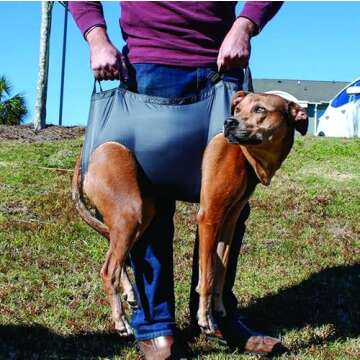 Rescue Essentials QuikLitter K9 Emergency Stretcher