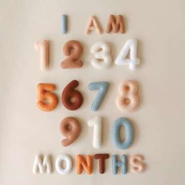 Lucy Darling Felt Baby Monthly Milestone Decor for Newborns