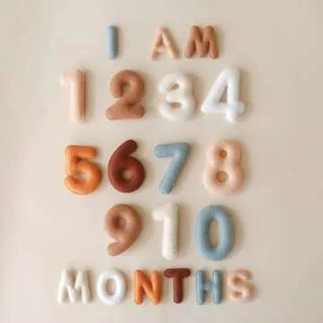 Lucy Darling Felt Baby Monthly Milestone Decor for Newborns