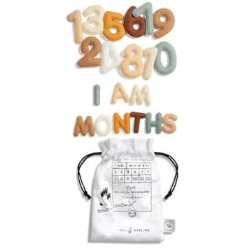 Lucy Darling Felt Baby Monthly Milestone Decor for Newborns