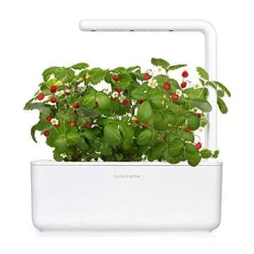 Grow Strawberries Easily with Click and Grow Smart Garden