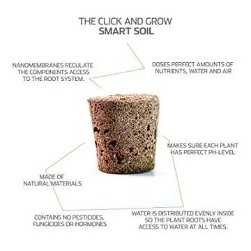 Grow Strawberries Easily with Click and Grow Smart Garden