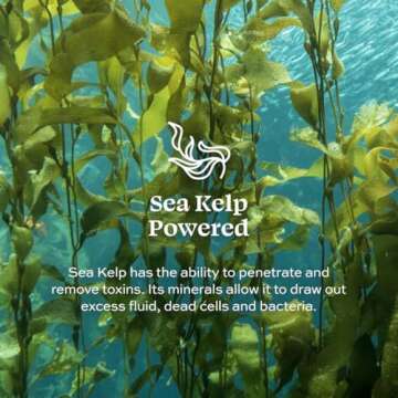 Aleavia Citrus Bliss Body Cleanse – Organic & All-Natural Prebiotic Body Wash, Scented with Pure Essential Oils – Nourish Your Skin Microbiome – 16 Oz.