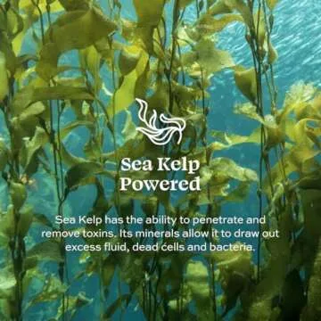 Aleavia Citrus Bliss Body Cleanse – Organic & All-Natural Prebiotic Body Wash, Scented with Pure Essential Oils – Nourish Your Skin Microbiome – 16 Oz.