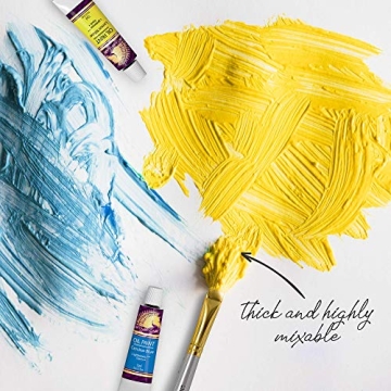 MyArtscape 48 Oil Paint Set - Perfect for All Artists