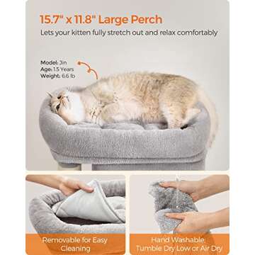 Feandrea Cat Tree for Kittens and Small Cats - Comfort & Style