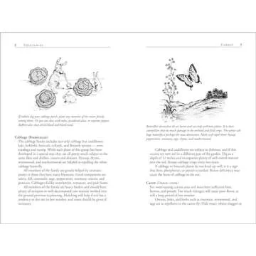 Carrots Love Tomatoes: Secrets of Companion Planting for Successful Gardening