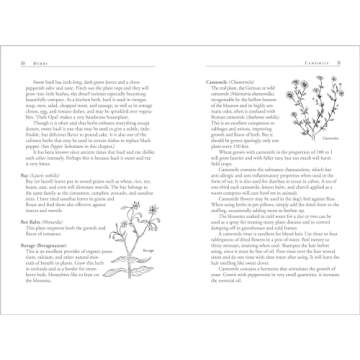 Carrots Love Tomatoes: Secrets of Companion Planting for Successful Gardening