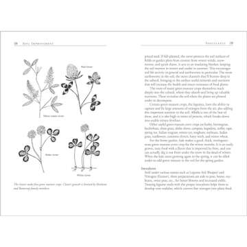 Carrots Love Tomatoes: Secrets of Companion Planting for Successful Gardening