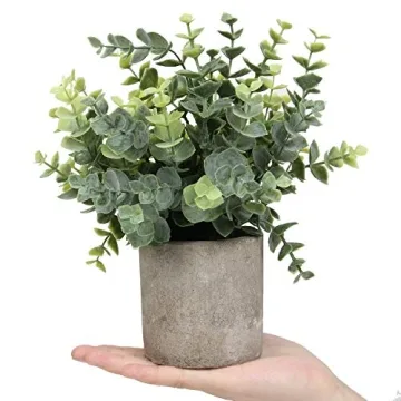 Elegant Mini Potted Eucalyptus & Rosemary Plants for Decor