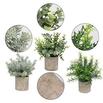 Elegant Mini Potted Eucalyptus & Rosemary Plants for Decor