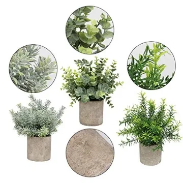 Elegant Mini Potted Eucalyptus & Rosemary Plants for Decor